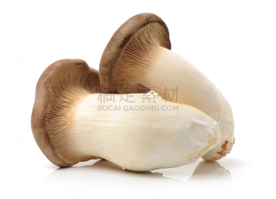 杏鲍菇,蚝蘑,鲍鱼,牛肝菌,小号,褐色,水平画幅,小的,素食,无人