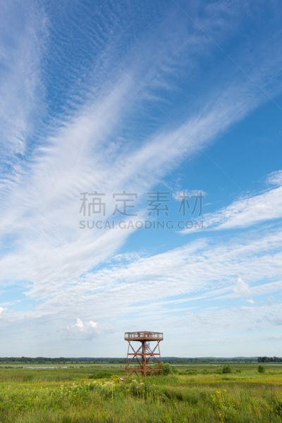 夏天,早晨,伊利诺斯州,晴朗,热,了望塔,水禽,田园风光,户外,黄昏