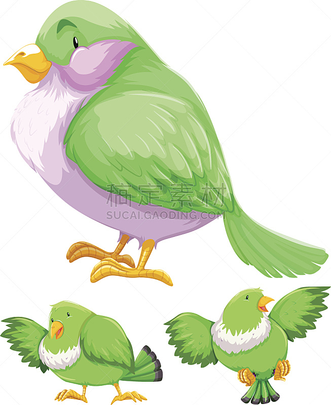 鸟类,绿色,动作,三只动物,自然,垂直画幅,野生动物,无人,绘画插图,剪贴画