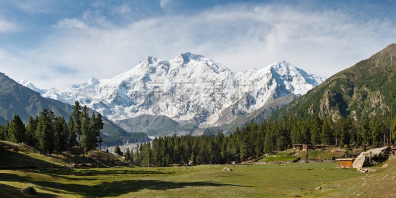 喜马拉雅山脉,巴基斯坦,南迦帕尔巴特峰,草地,全景,仙女,天空,水平画幅,雪,无人