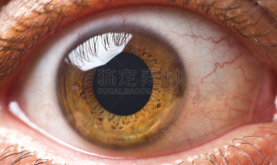 眼球,特写,眼睑,关闭的,维管束,复杂,眉毛,仅成年人,人的眼睛,虹膜