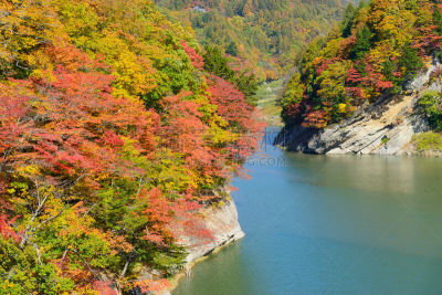 长野县,峡谷,水平画幅,秋天,无人,日本,户外,山,风景
