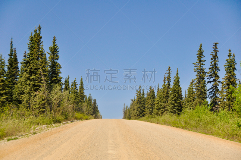 道尔顿高速公路,阿拉斯加,南极洲,水平画幅,山,无人,户外,美洲,北美,松林