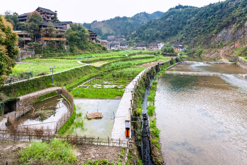 灌溉设备,稻田,稻,三江,水稻梯田,梯田,运河,河岸,水,水平画幅