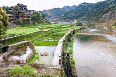 灌溉设备,稻田,稻,三江,水稻梯田,梯田,运河,河岸,水,水平画幅