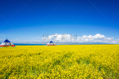 青海湖,风景,俄亥俄河,青海省,油菜花,水,天空,留白,水平画幅,无人