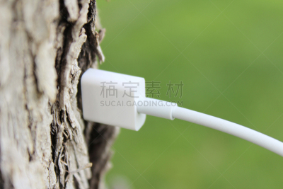 自然,技术,usb线,网线插头,计算机电缆,水平画幅,无人,草,摄影,树