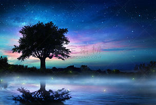 夜晚,星星,寂寞,一棵树,萤火虫,橡树,银河系,飘然,幻想,空间和天文学