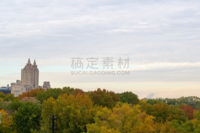 派克大街,公园,水平画幅,无人,户外,秃树,戴拉寇特剧院,纽约,植物,叶子