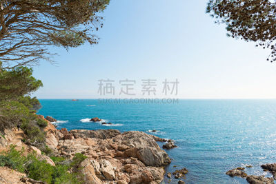 海岸线,西班牙,勇气,赫罗纳,陡峭海岸,埃斯塔蒂特,港口的热带雨林,帕拉弗鲁赫尔,卡达开斯,特萨德玛