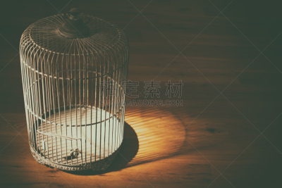 鸟笼,古董,戏剧性的天空,笼子,门插销,阴影对焦,犯人,捕获的,水平画幅,仿旧磨损的效果
