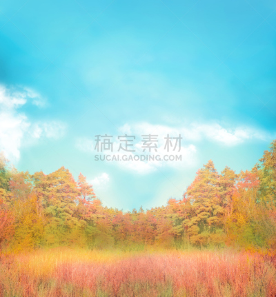 天空,风景,黄金,秋天,背景,蓝色,垂直画幅,秋分,光,明亮