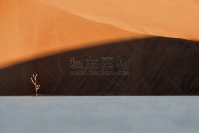 一只动物,阳光光束,最后,一个物体,比例,橙色,著名景点,纳米比亚国家公园,户外,反差