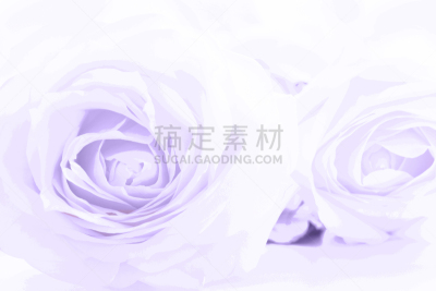 特写,柔和,玫瑰,背景,风,接力赛,充满的,米色,美,留白