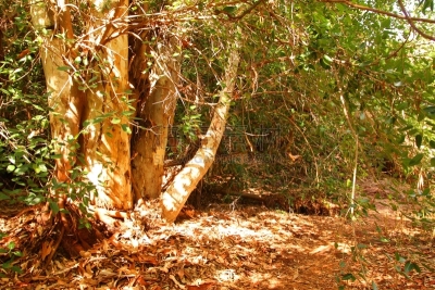 澳大利亚,the pilbara,西澳大利亚,偏远地区,自然美,2015年,户外,旅行者,自然,生活方式