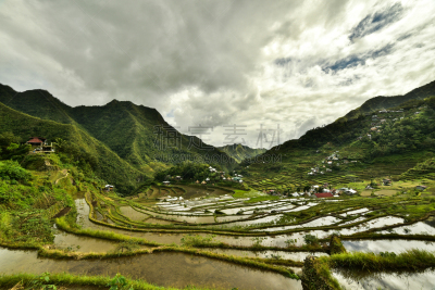 水稻梯田,巴拿威,吕宋岛,稻田,水平画幅,地形,无人,乡村,菲律宾,户外