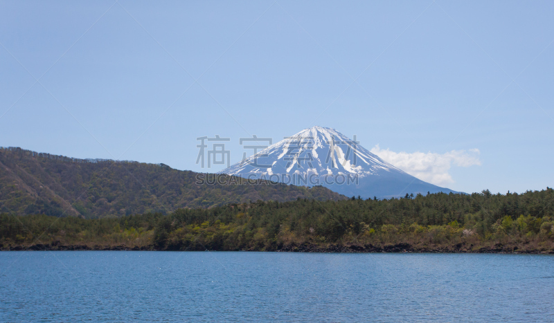 富士山,山,saiko lake,自然,水平画幅,无人,日本,湖,火山,春天