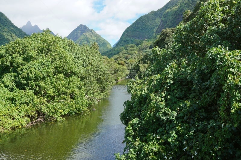 河流,塔西提岛,地形,山,法属玻利尼西亚,太平洋岛屿,热带气候,枝繁叶茂,玻利尼西亚,社会岛