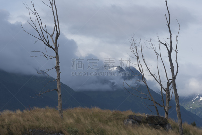云,惊骇,石化木,冰原大道,杰士伯,碧玉,主干路,阿拉斯加,水,天空