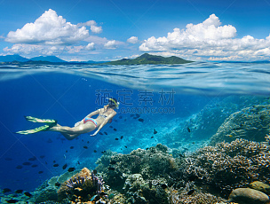 礁石,鱼类,女人,与众不同,大群动物,浮潜,呼吸管,苏拉威西,游泳,潜水