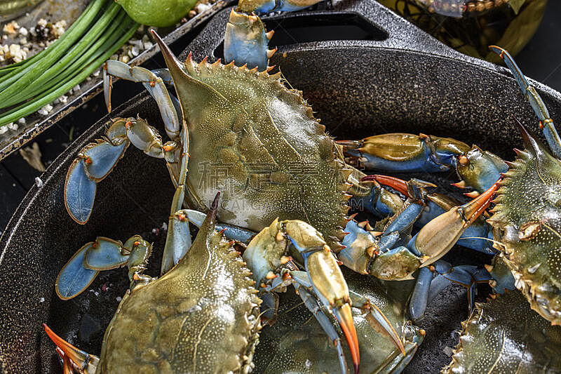 蓝蟹,清新,螃蟹,爪,美国,水平画幅,无人,正上方视角,海产,锅