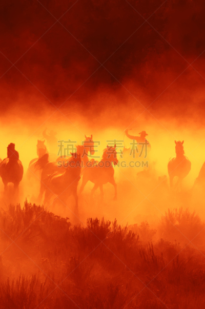 野外动物,马,牛仔,垂直画幅,天空,母马,套索,泥土,湿,户外