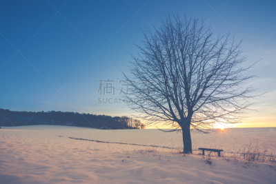 冬天,自然,太空,美,寒冷,水平画幅,德国高速列车,雪,支流