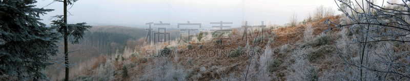 树林,冬天,草原,水平画幅,雪,无人,铁轨轨道,早晨,孚日省,户外