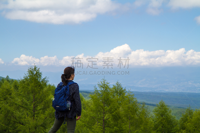 yachiho,日本,徒步旅行,旅途,苏格兰高地,沃金市,巴岳山,白桦树,高原,风