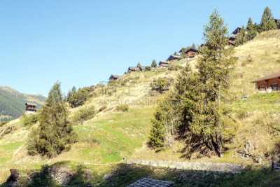 阿尔卑斯山脉,森林,法国海外领土,旅途,环境,雪,瑞士阿尔卑斯山,草,自然美,夏天