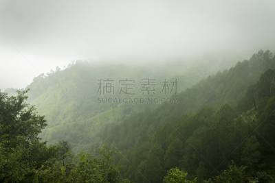 西姆拉,季候风,山,皇后伞树,雾,喜马拉雅山脉,雨,森林,暴雨,天空