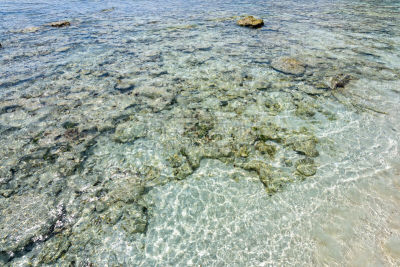 礁石,海滩,斯米兰群岛,攀牙府,鱼群,普吉岛,安达曼海,沙洲,水,休闲活动