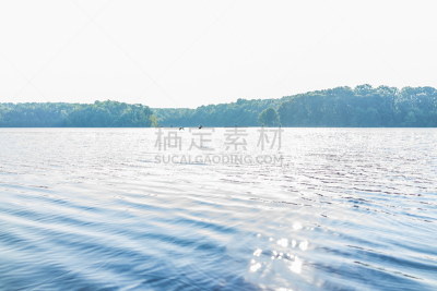 水,早晨,夏天,湖,北,维吉尼亚,雁属,费郡,在上面,飞