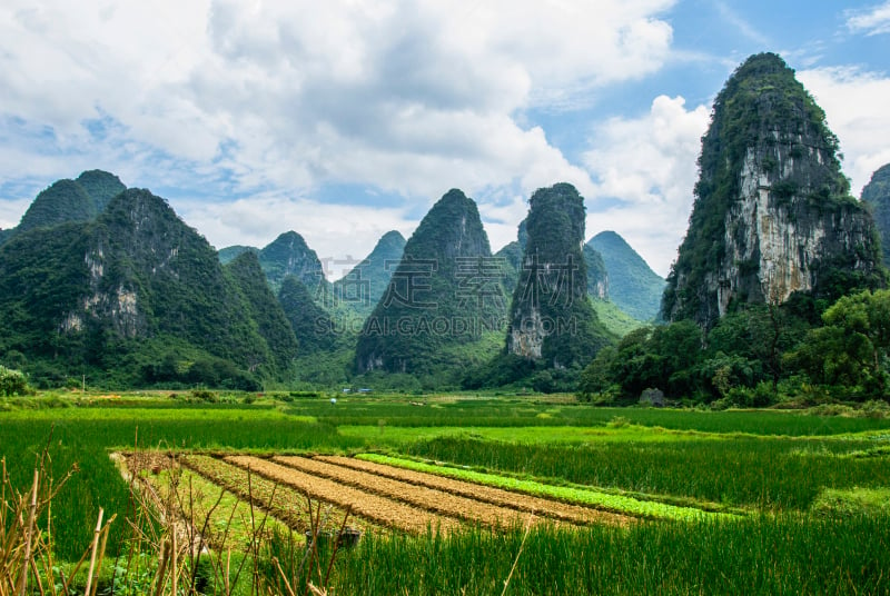 喀斯特,山脉,风景,法明顿山,桂林山水,天空,水平画幅,高视角,林区,岩层