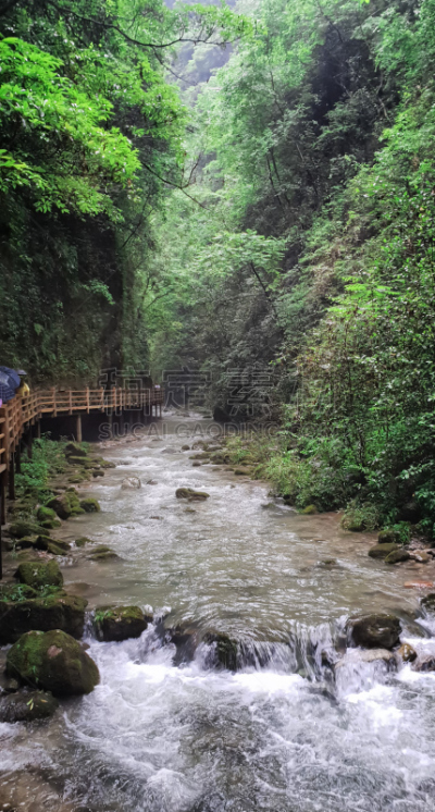 小路,桥,徒步旅行,中国,张家界,玻璃,武陵源,大峡谷,垂直画幅,户外