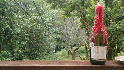 酒瓶,富瓦,阿列日,另眼相看,比利牛斯山地区,烛台,蜡烛,红色,葡萄酒,法国