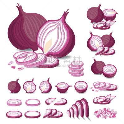 矢量,分离着色,西班牙大葱,洋葱,切片食物,素食,无人,绘画插图,生食,白色