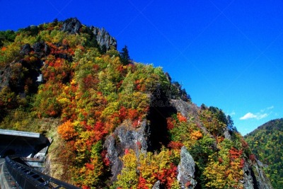 秋天,丹姆,札幌,北海道,温泉,水平画幅,枫叶,无人,枫树,晕影效果