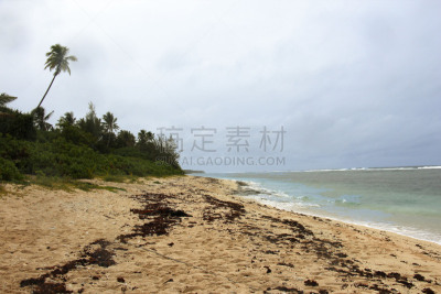 海滩,汤加塔布,汤加,斐济,萨摩亚,自然,水,旅游目的地,水平画幅,无人