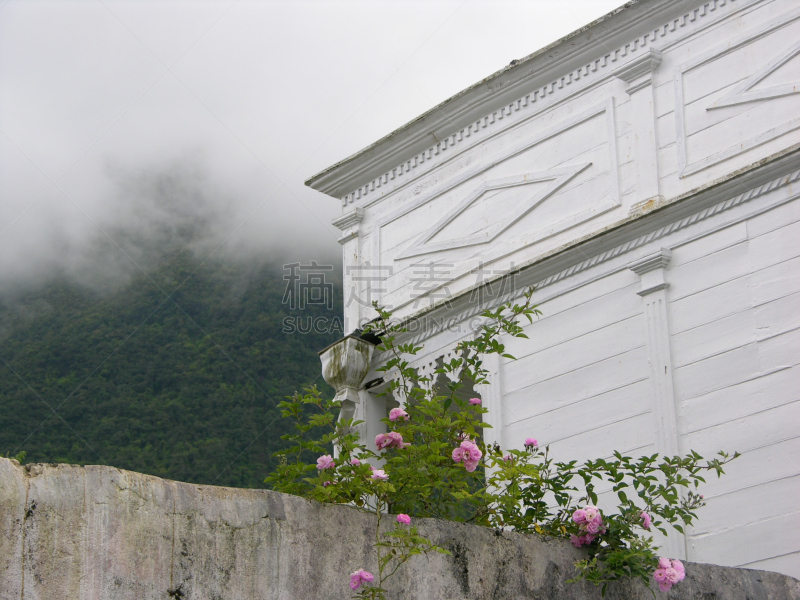 玫瑰,白色,地狱村,留尼汪（法属）,法国海外领土,灰色,水平画幅,无人,阳台,前面