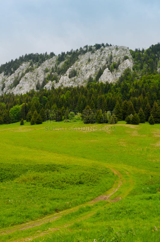 法国,国内著名景点,the vercors,格勒诺布尔,夏令营,垂直画幅,天空,夏天,草,石头