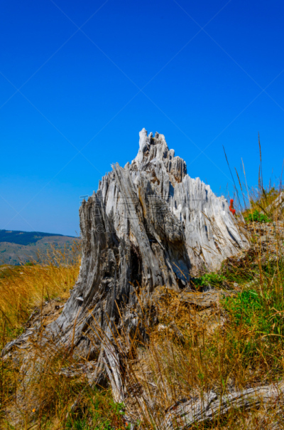 圣海伦火山,死火山,卡斯基德山脉,垂直画幅,美国西部,无人,火山地形,户外,北美,国际著名景点