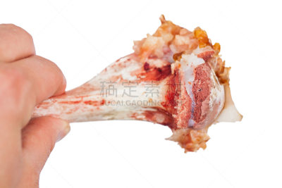 多汁的,人,骨骼,手牵手,水平画幅,钙,开胃品,传统,巨大的,生食