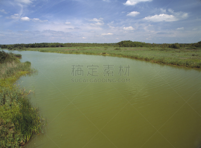 赤潮,自然,水平画幅,绿色,无人,藻类,户外,彩色图片,波兰