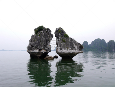 岛,鸡,水平画幅,无人,椰子树,夏天,异国情调,户外,巴哈马国,白色