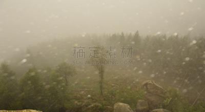 山,雾,森林,天空,暴风雨,水平画幅,无人,哈尔茨山,湿,户外