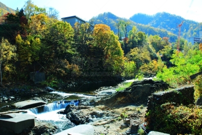 秋天,温泉,札幌,北海道,风景,黄色,红色,图像,叶子,足浴
