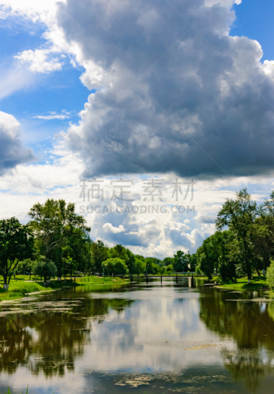 水,泥,簇叶从生的,派克大街,垂直画幅,无人,平视角,苔藓,夏天,沼泽