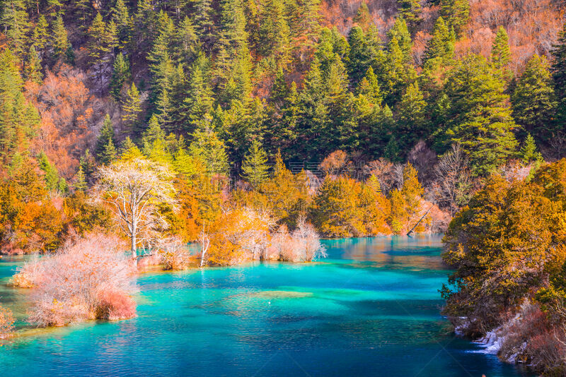 九寨沟风景名胜区,九寨沟 ,自然,天堂,水平画幅,秋天,无人,纯净,户外,反射