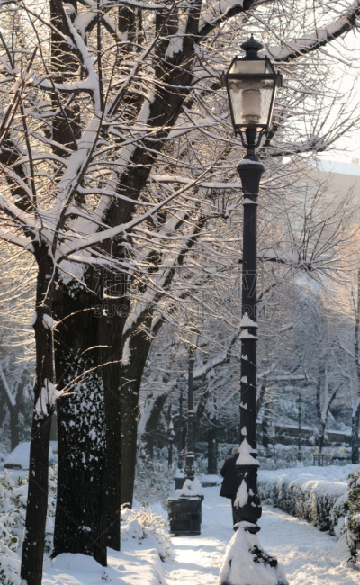 雪,佛罗伦萨,冬天,季节,意大利,米开朗基罗广场,过时的,灯,垂直画幅,天空
